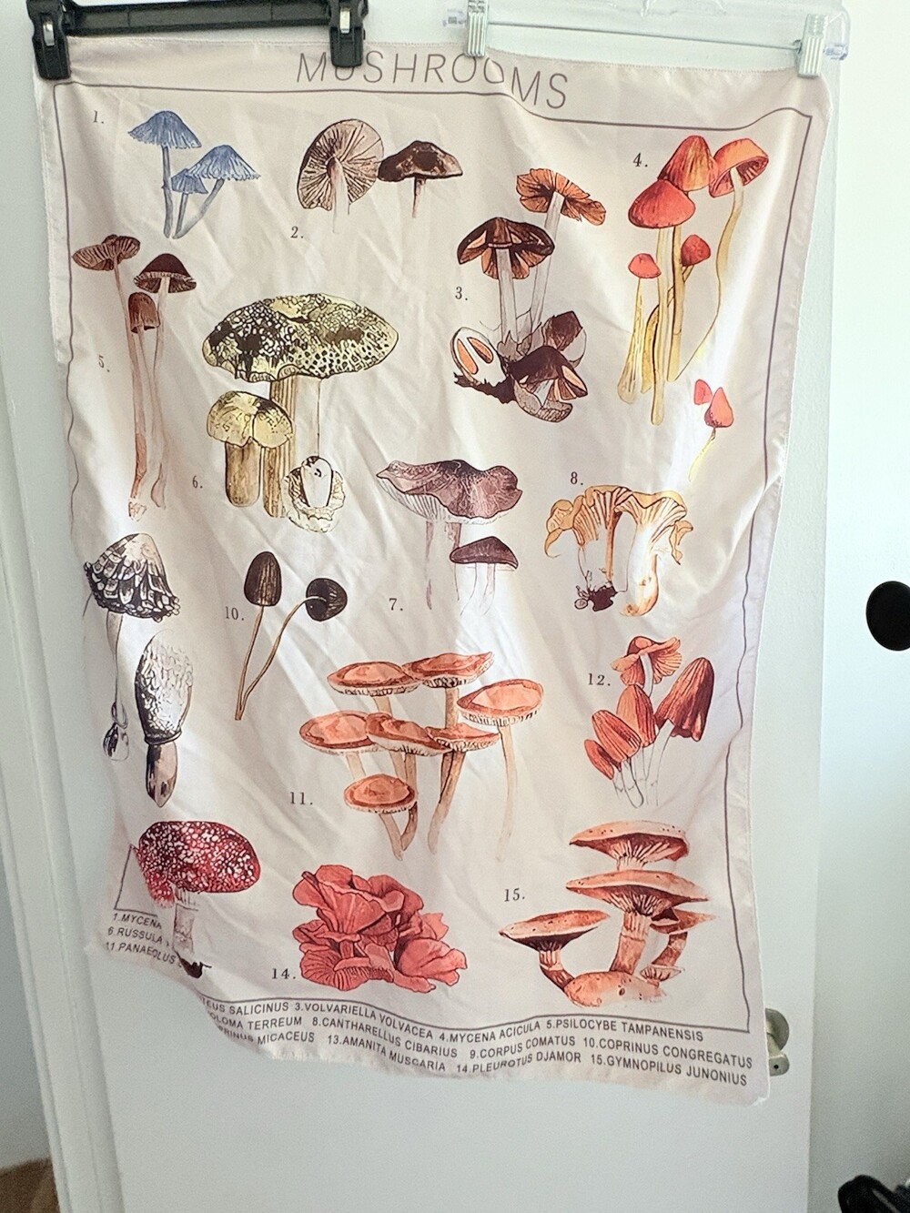 Botanical Mushroom Wall Hanging Tapestry, Vertical Decorative Fabric, Multicolor